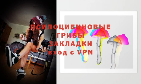твердый Алексин
